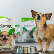 Бренд веганских кормов для собак V-planet запускается в Японии, чтобы помочь японцам перевести их 9 миллионов собак на растительное питание